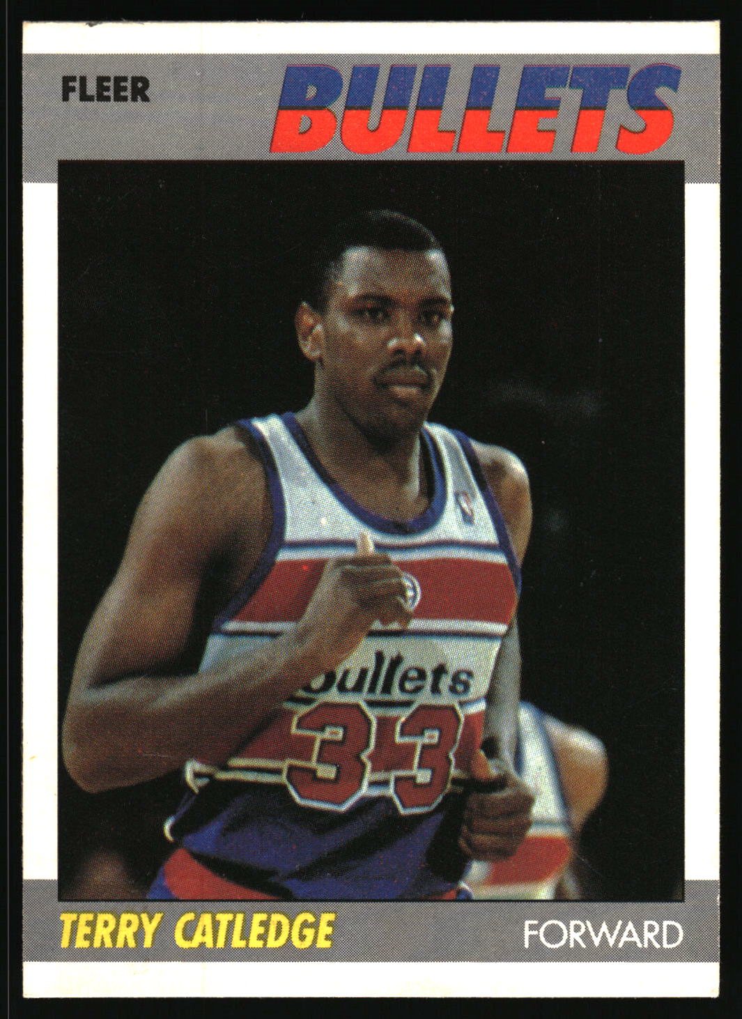 1987-88 Fleer #18 Terry Catledge