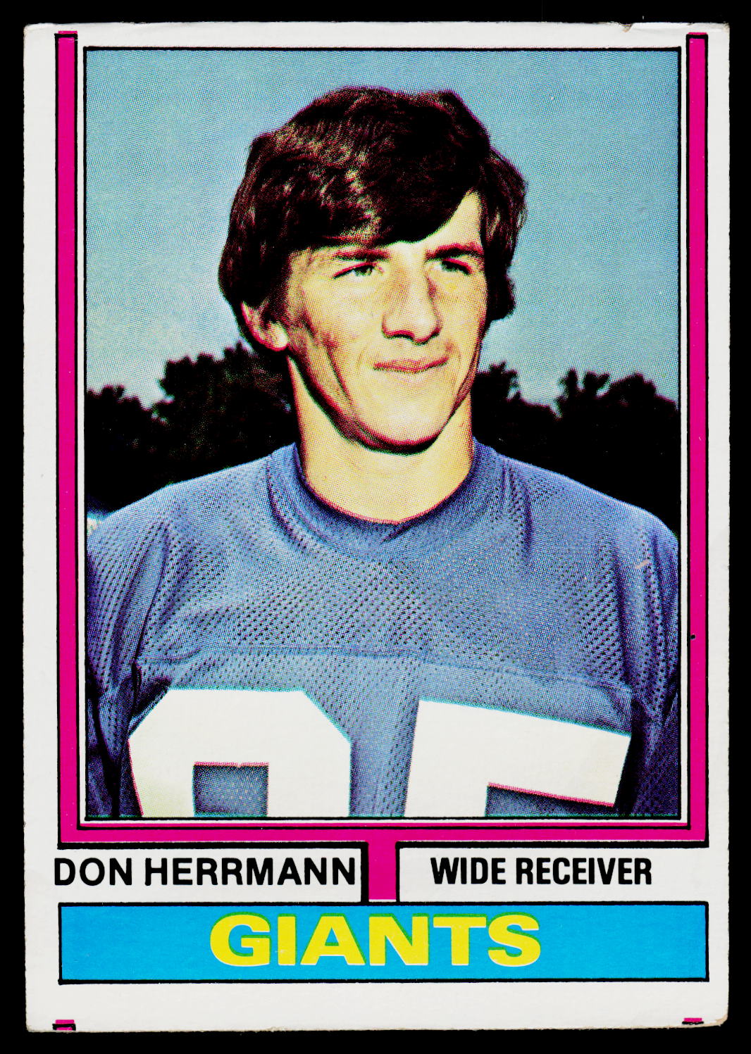 1974 Topps #481 Don Herrmann